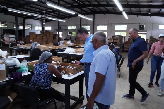 El impacto transformador del Régimen de Competitividad e Innovación Industrial en República Dominicana